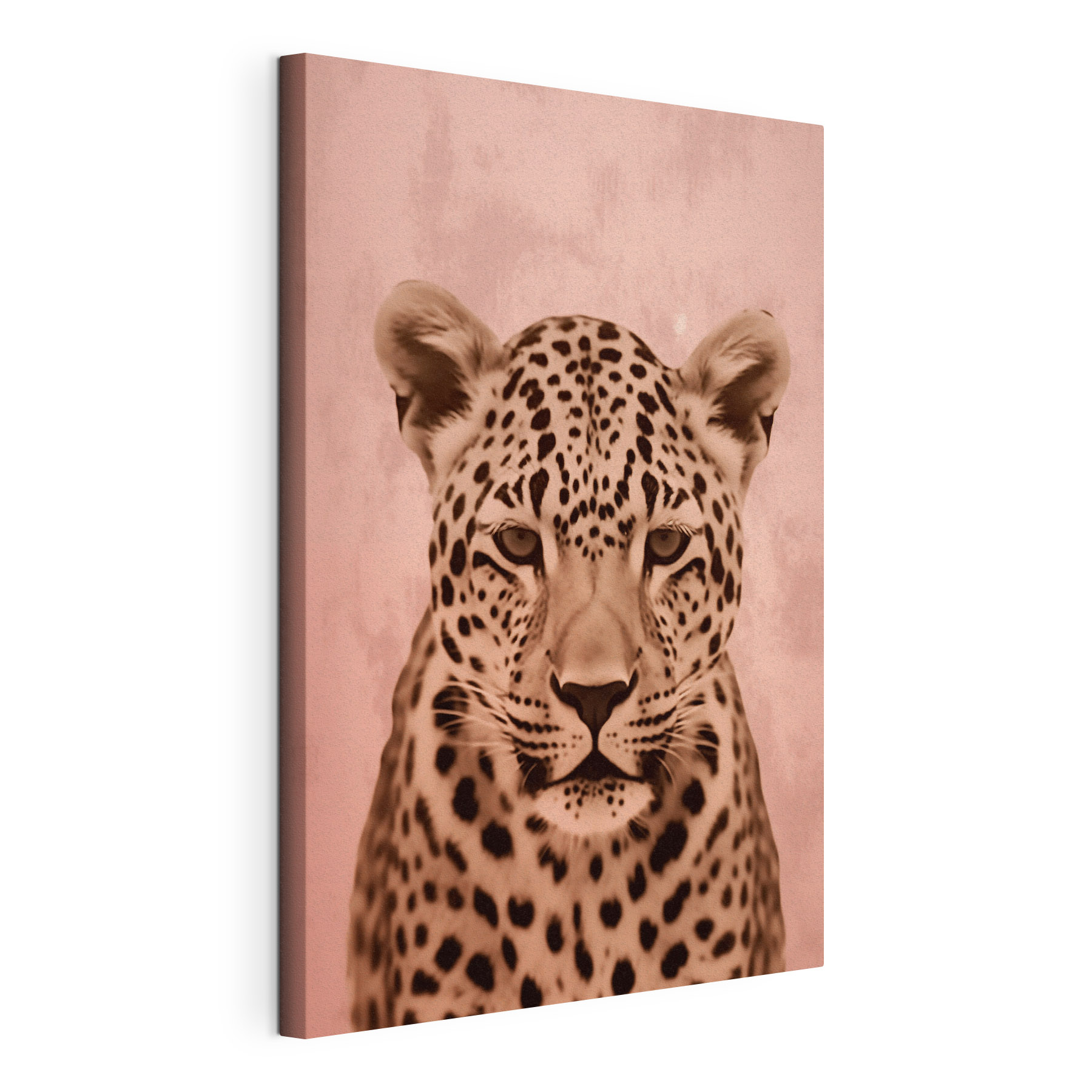 Majestic leopard in soft tones Majestic leopard in soft tones