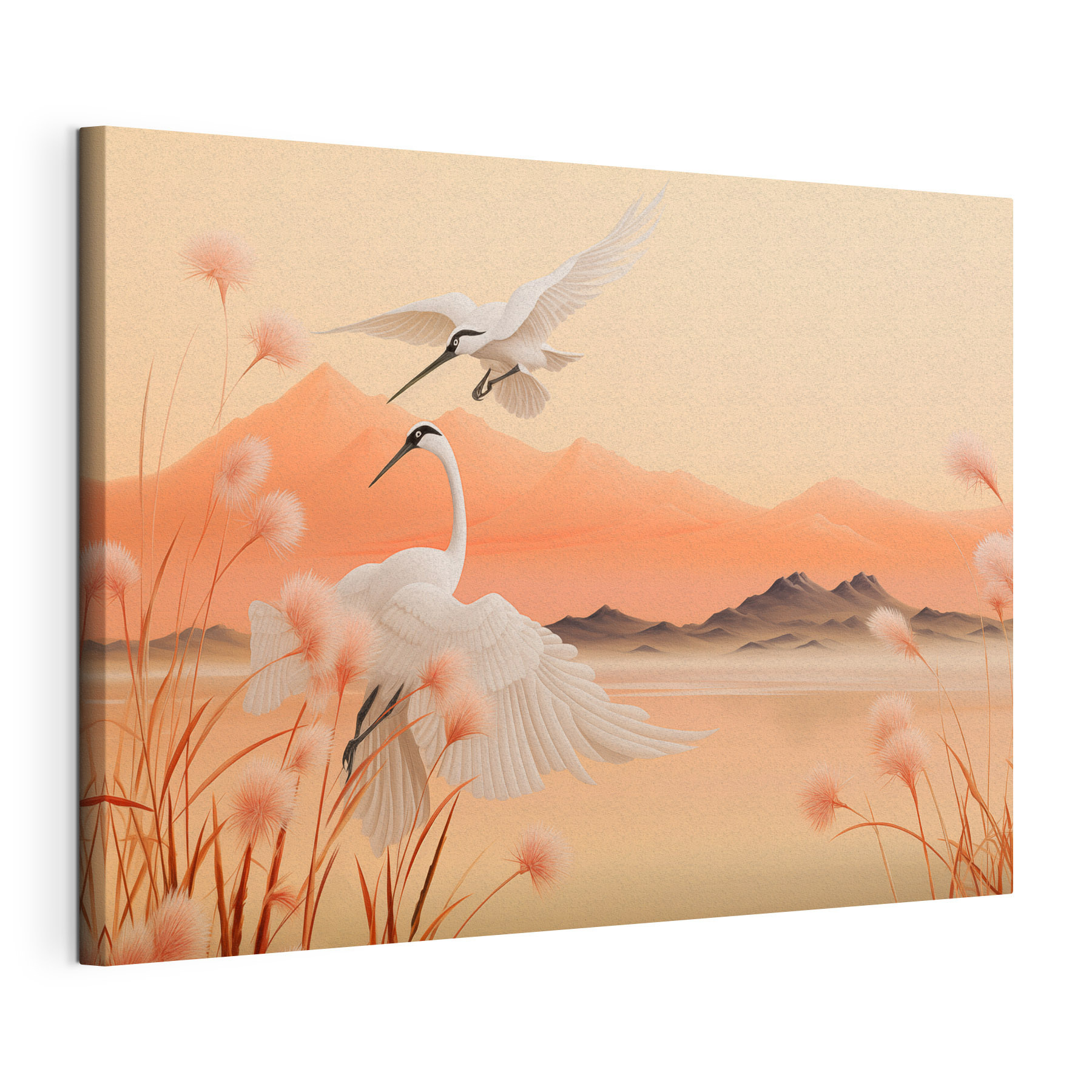 Birds flying over water