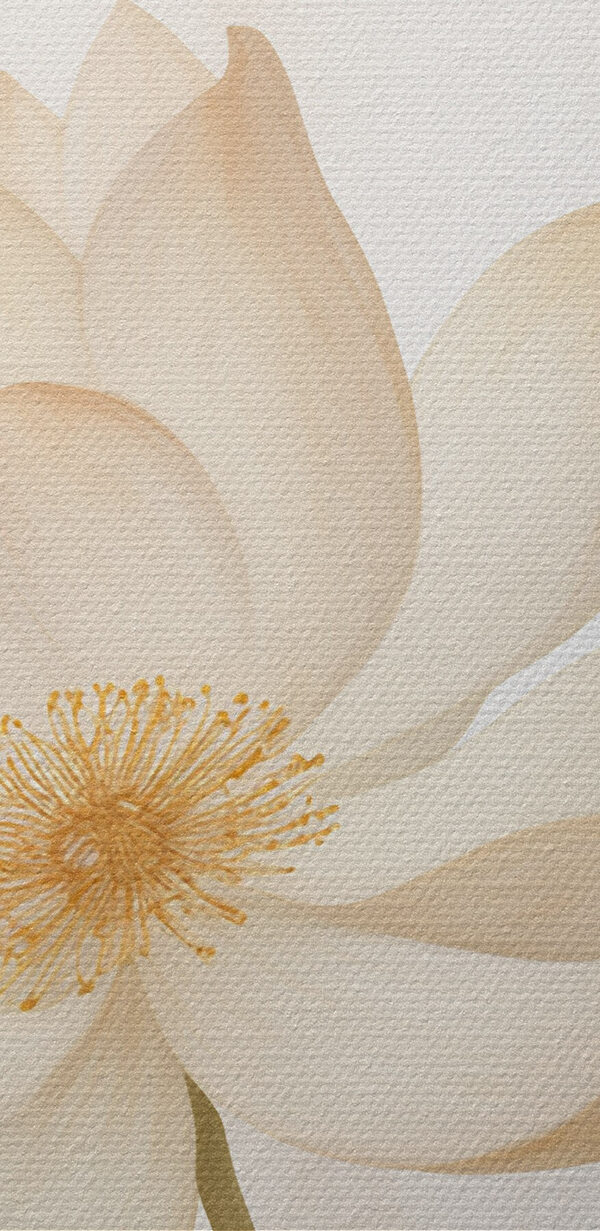 Delicate petals in soft colors