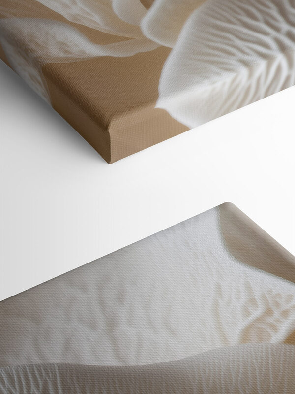 Delicate layers in graceful formations