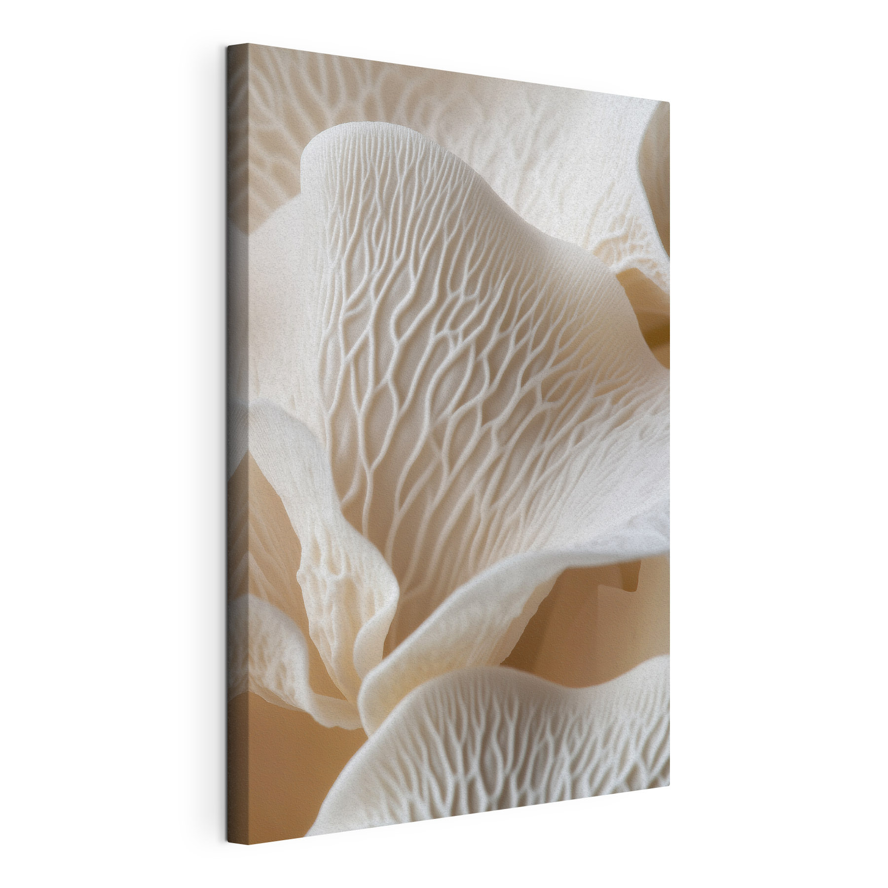 Delicate layers in graceful formations