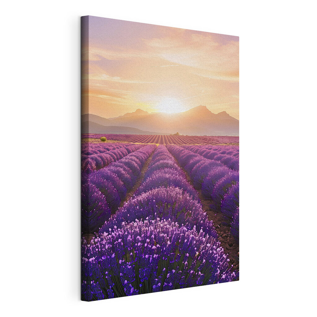 Field of lavender with mountains in the background
