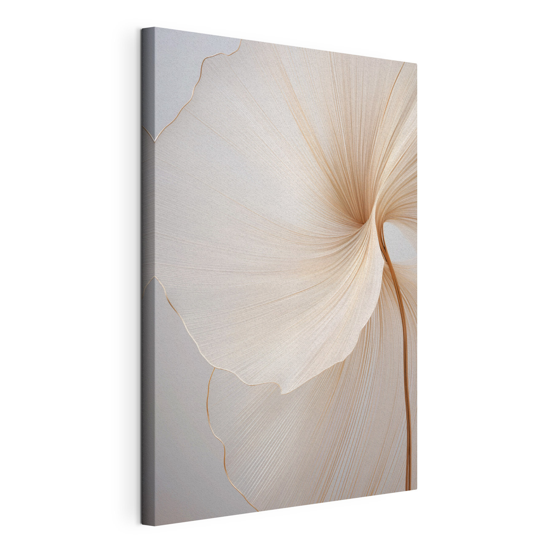 Delicate curves in soft tones