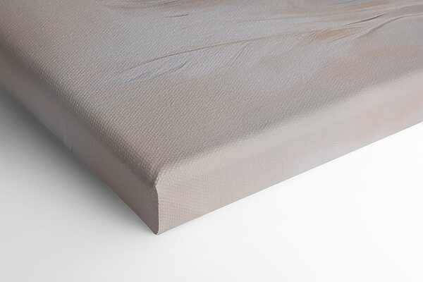 Soft feathers against a muted background