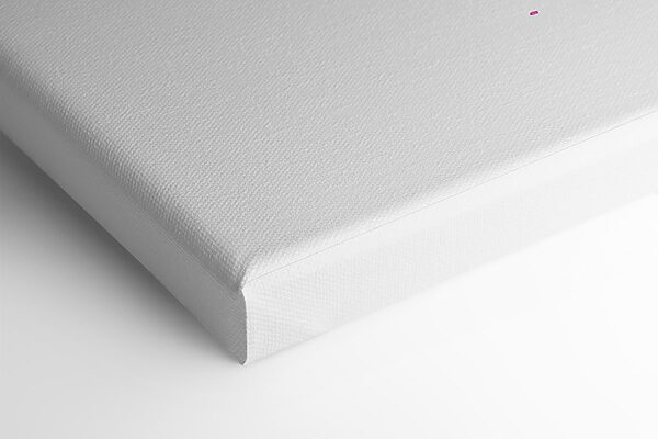 Delicate pink butterfly on a canvas