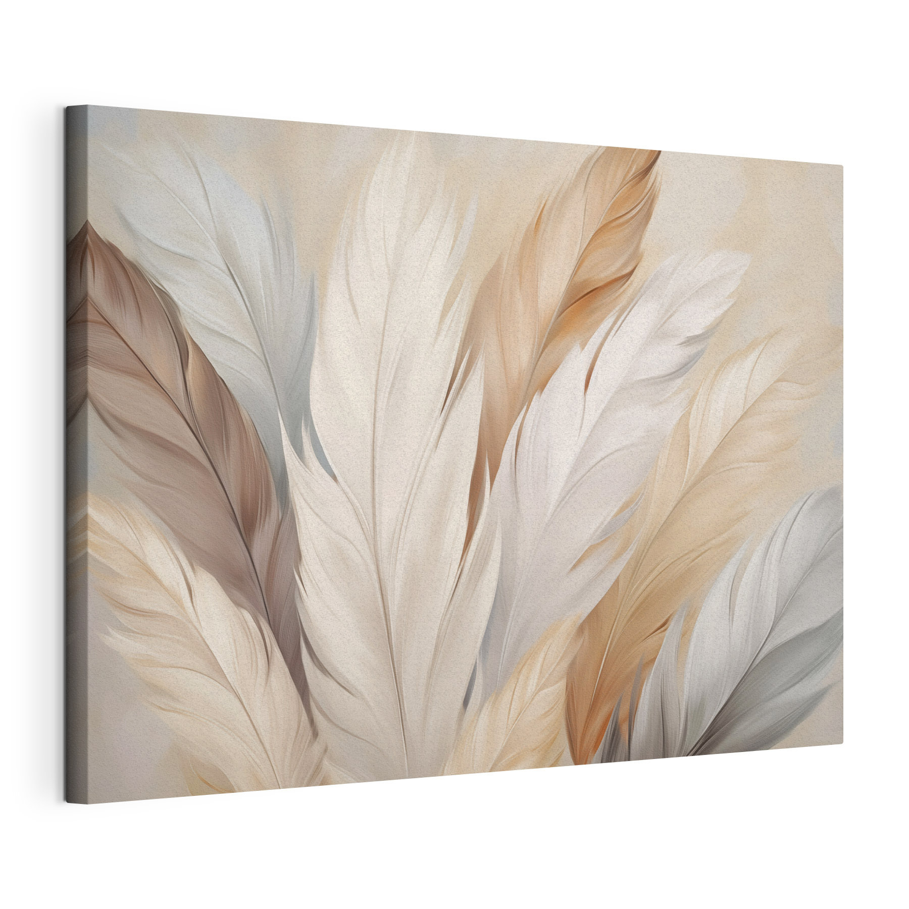 Group of feathers in different colors