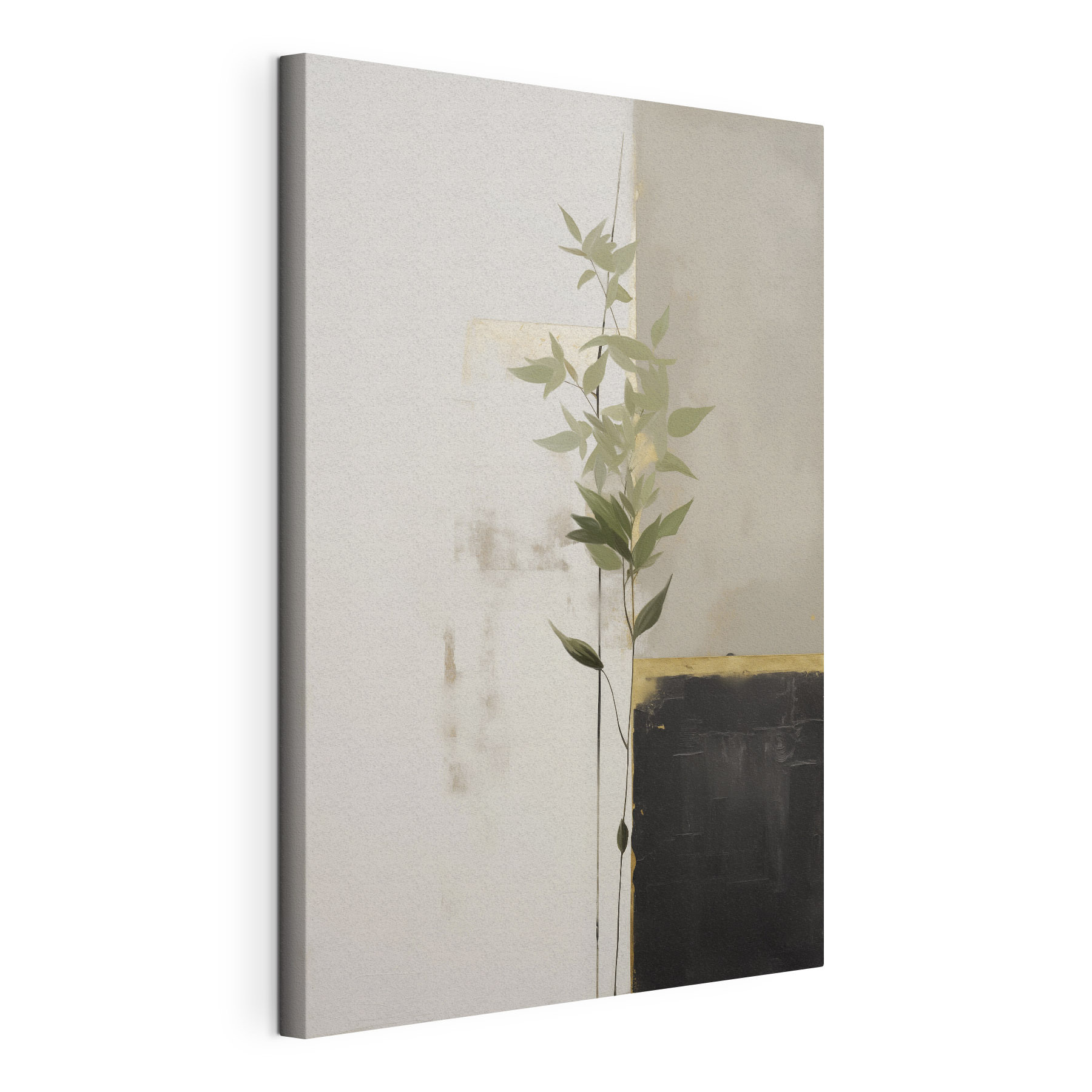 Plant growing up against a wall Plant growing up against a wall