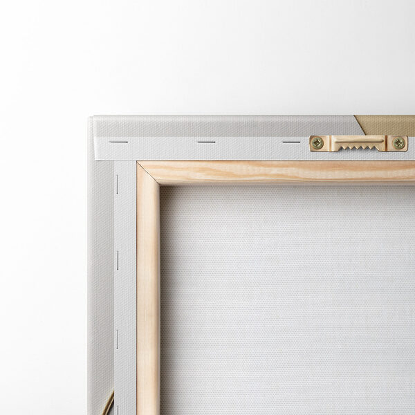 Elegant curves and shapes in harmony