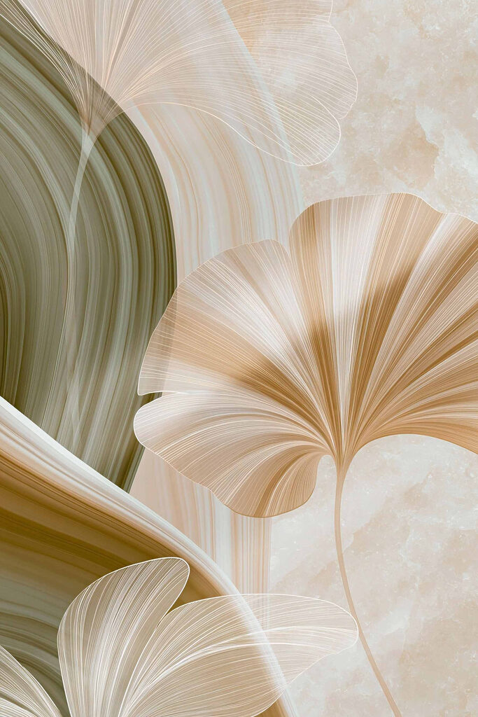 Soft curves and gentle lines collide