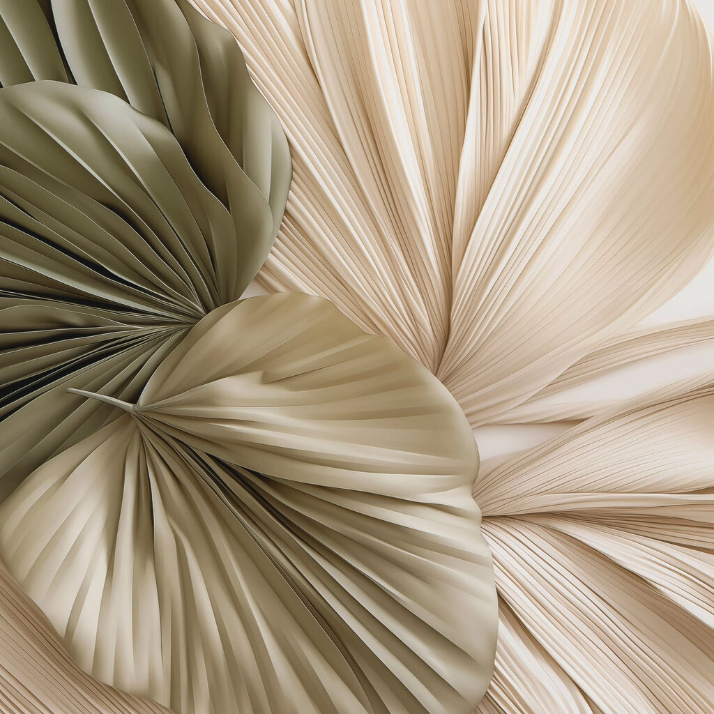Elegant folds of natural forms