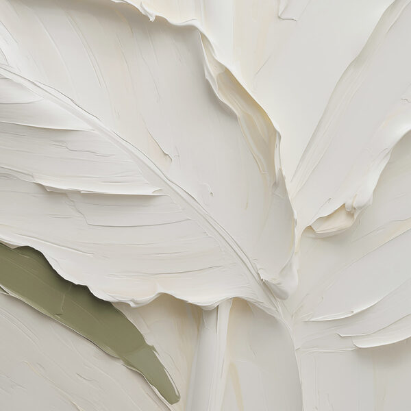 White leaves with a green stripe