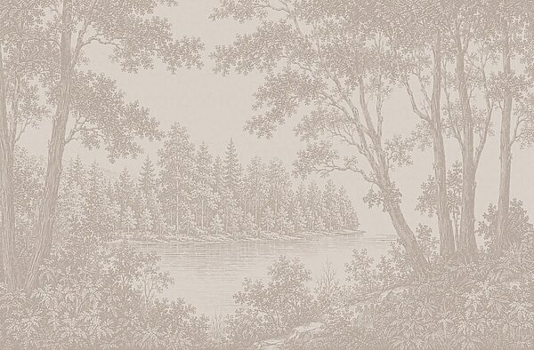 Landscape with trees and a river