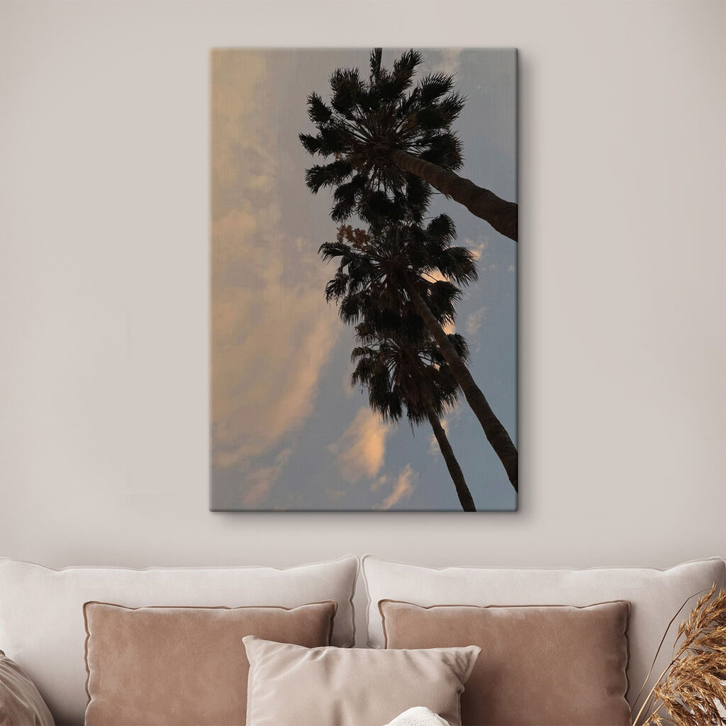 Group of palm trees Group of palm trees