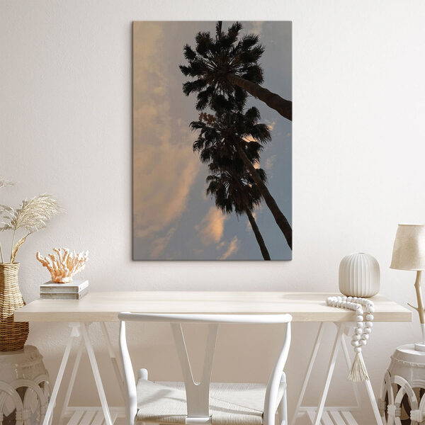 Group of palm trees Group of palm trees