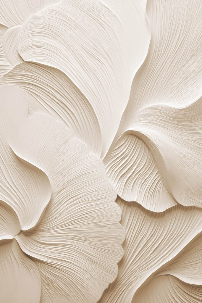 Gentle curves and soft lines abound