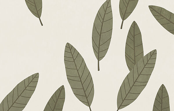 Group of leaves on a white background