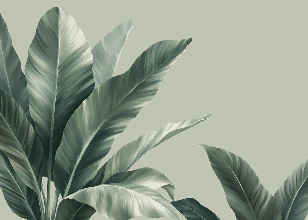 Lush leaves against a soft backdrop Lush leaves against a soft backdrop