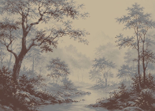 River running through a forest