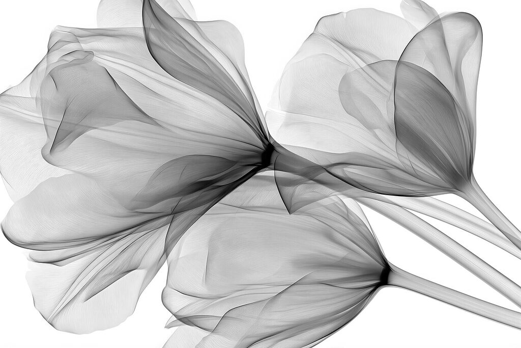 Group of flowers with tulle