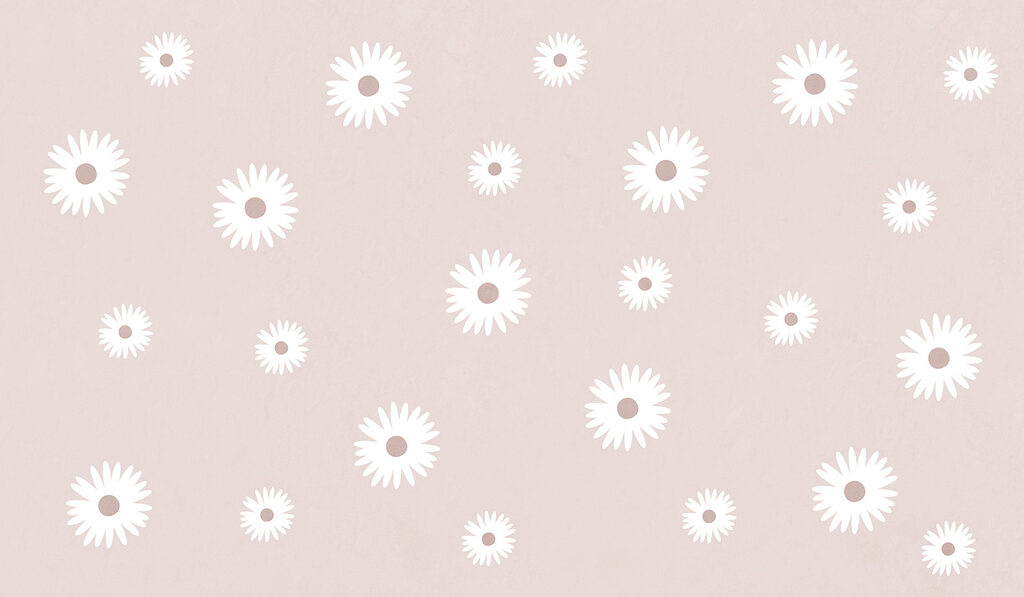 White flowers on a pink background White flowers on a pink background