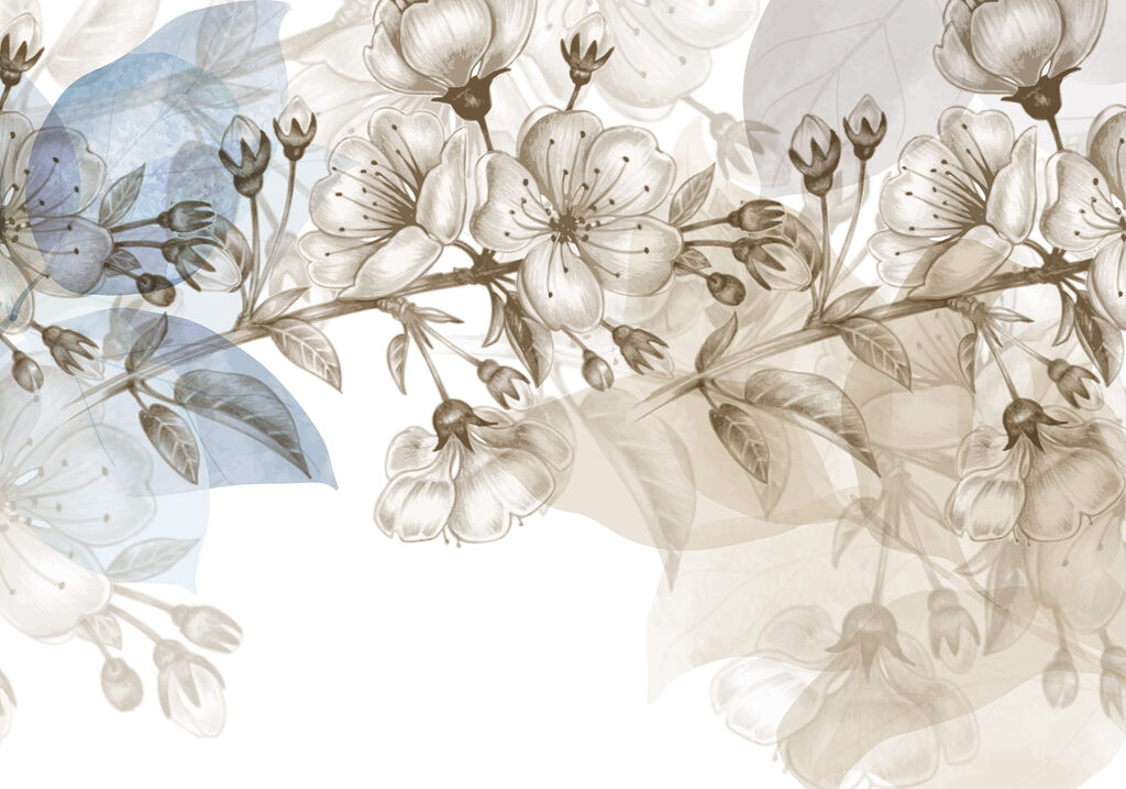 Delicate blossoms in soft hues Delicate blossoms in soft hues