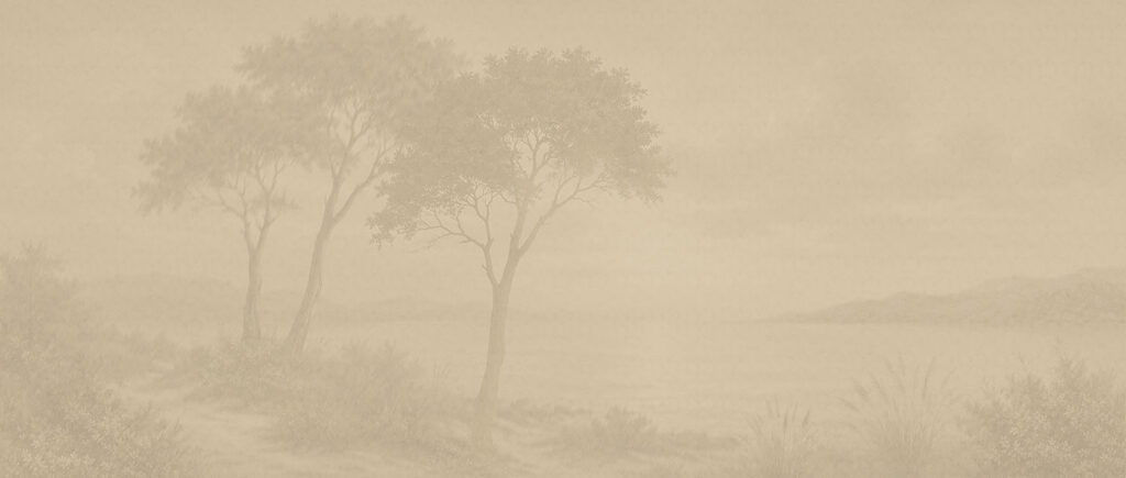 Tree in a foggy landscape Tree in a foggy landscape