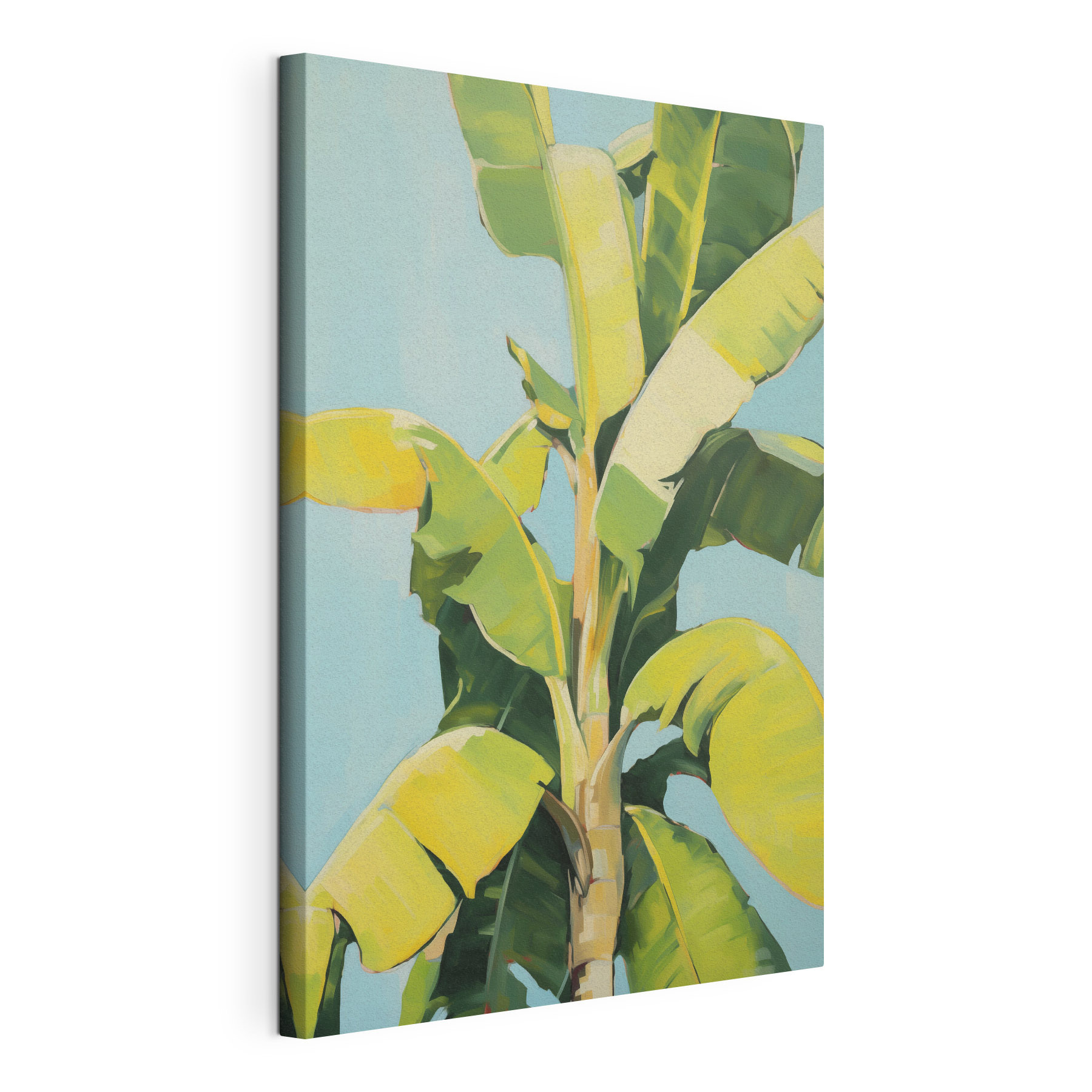 Banana tree with leaves