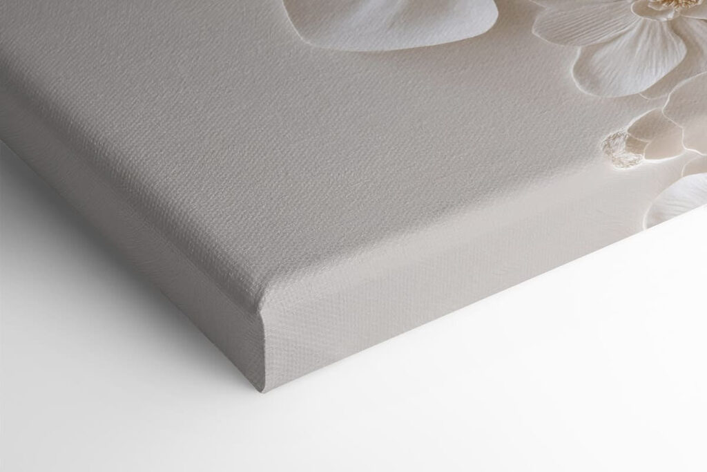White flowers on a white surface