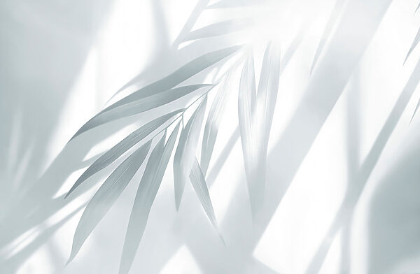 Delicate leaves in soft light