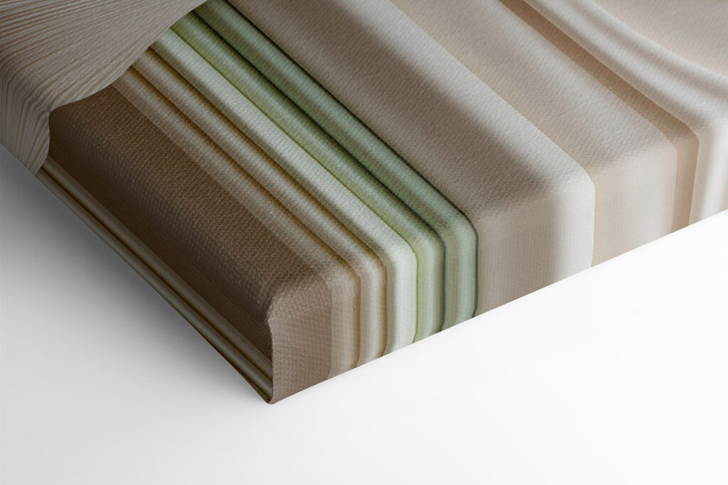 Elegant layers of nature's design