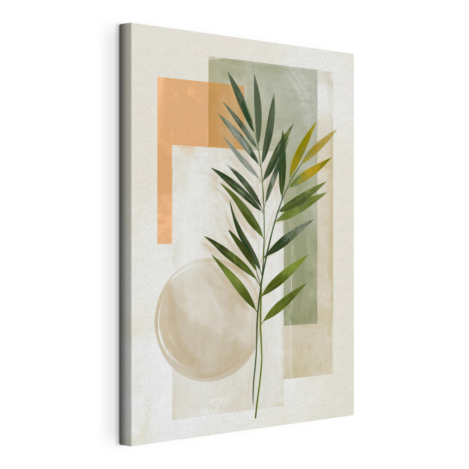 Plant with leaves on a white background Plant with leaves on a white background