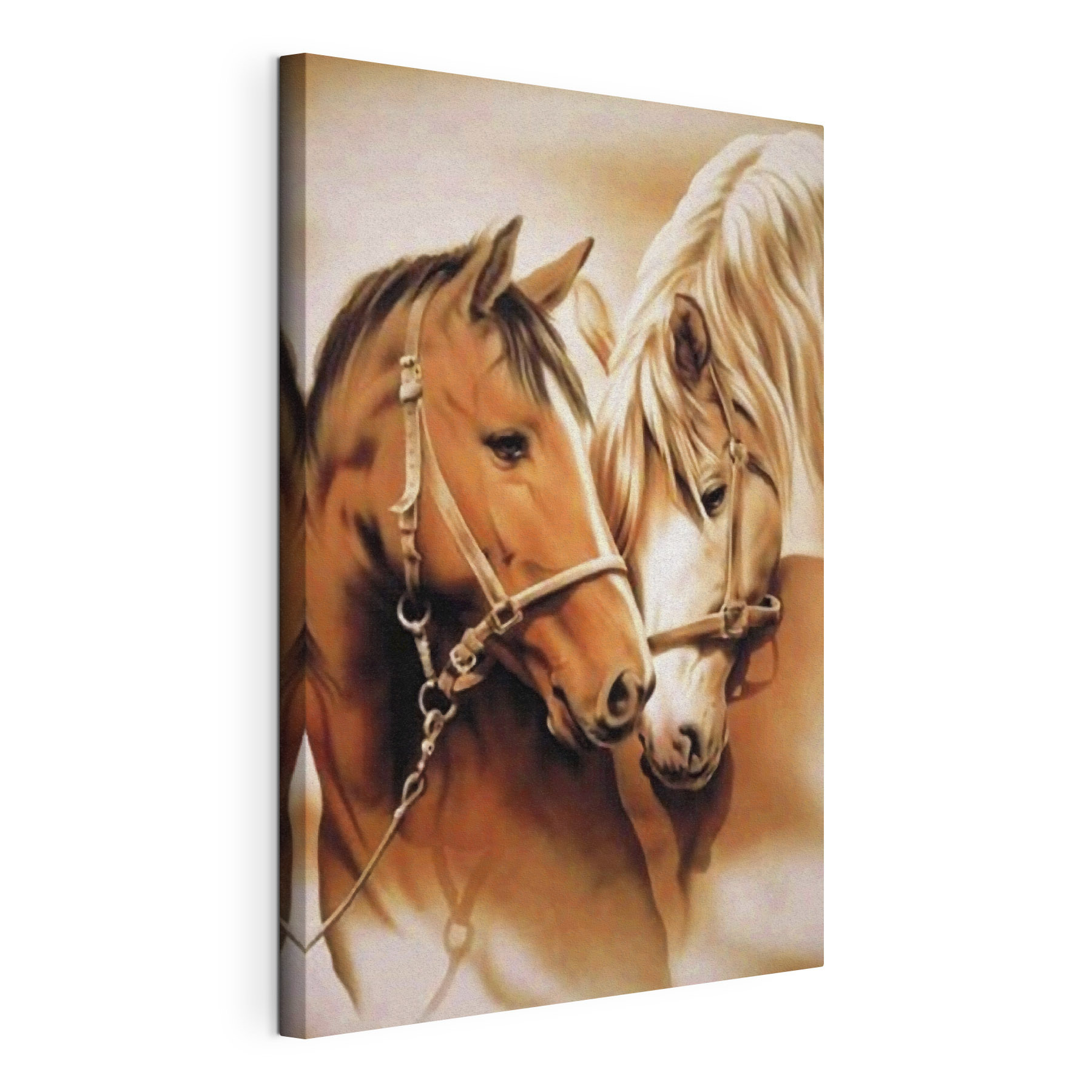 A close up of two horses