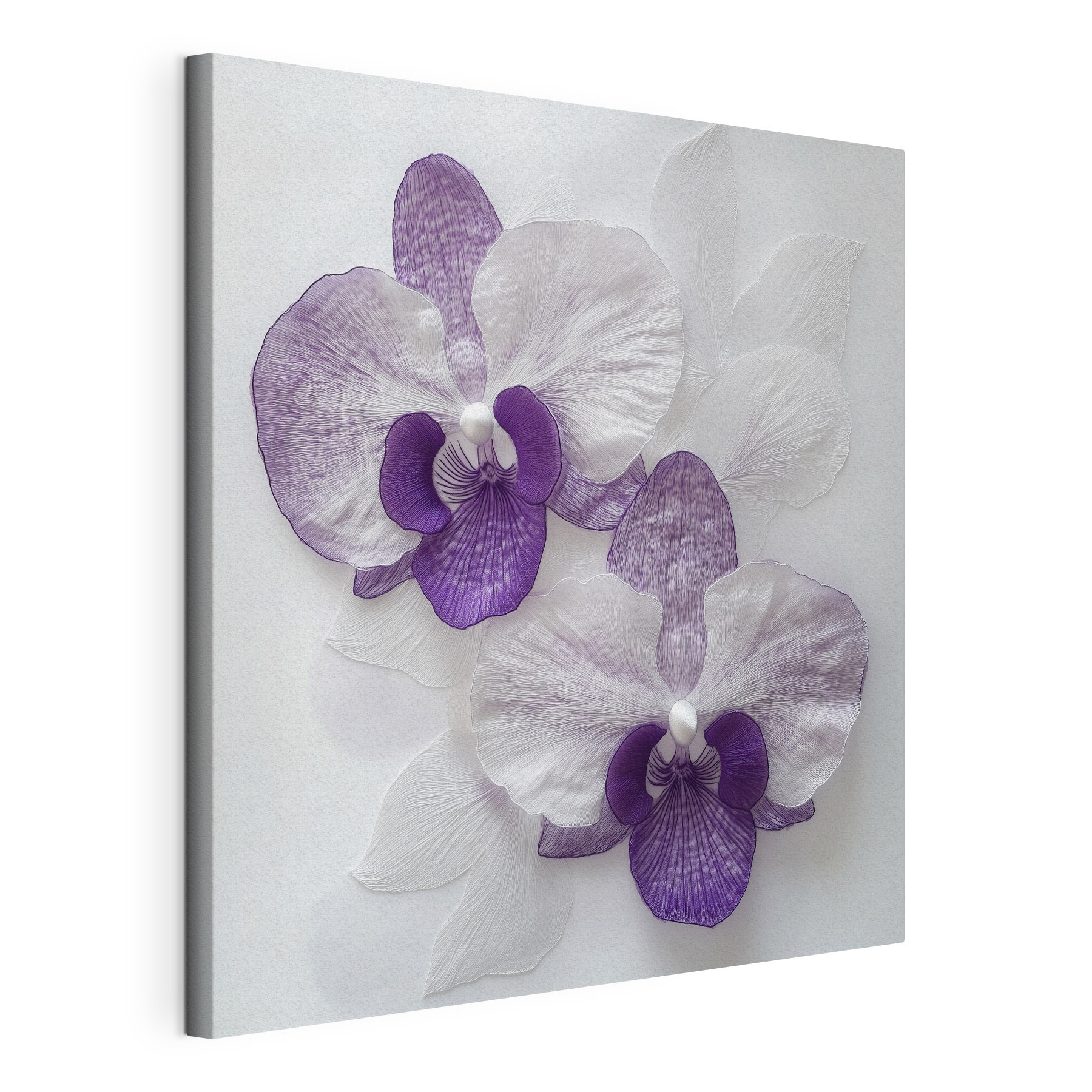 Purple and white flowers on a white surface