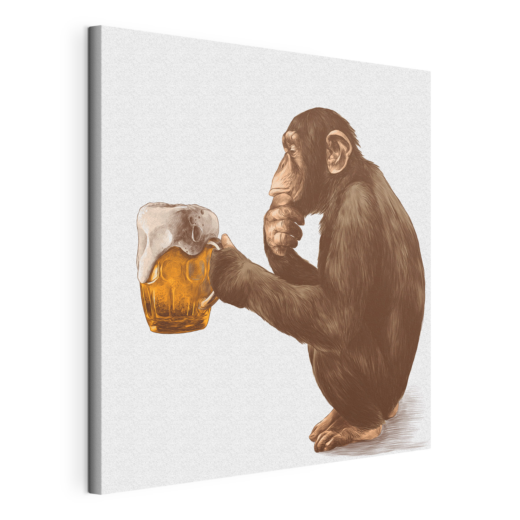 Monkey holding a mug of beer Monkey holding a mug of beer