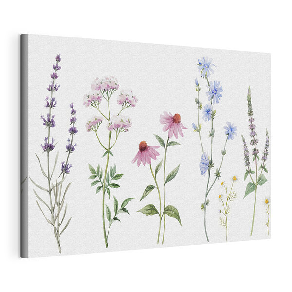 Group of flowers on a white background