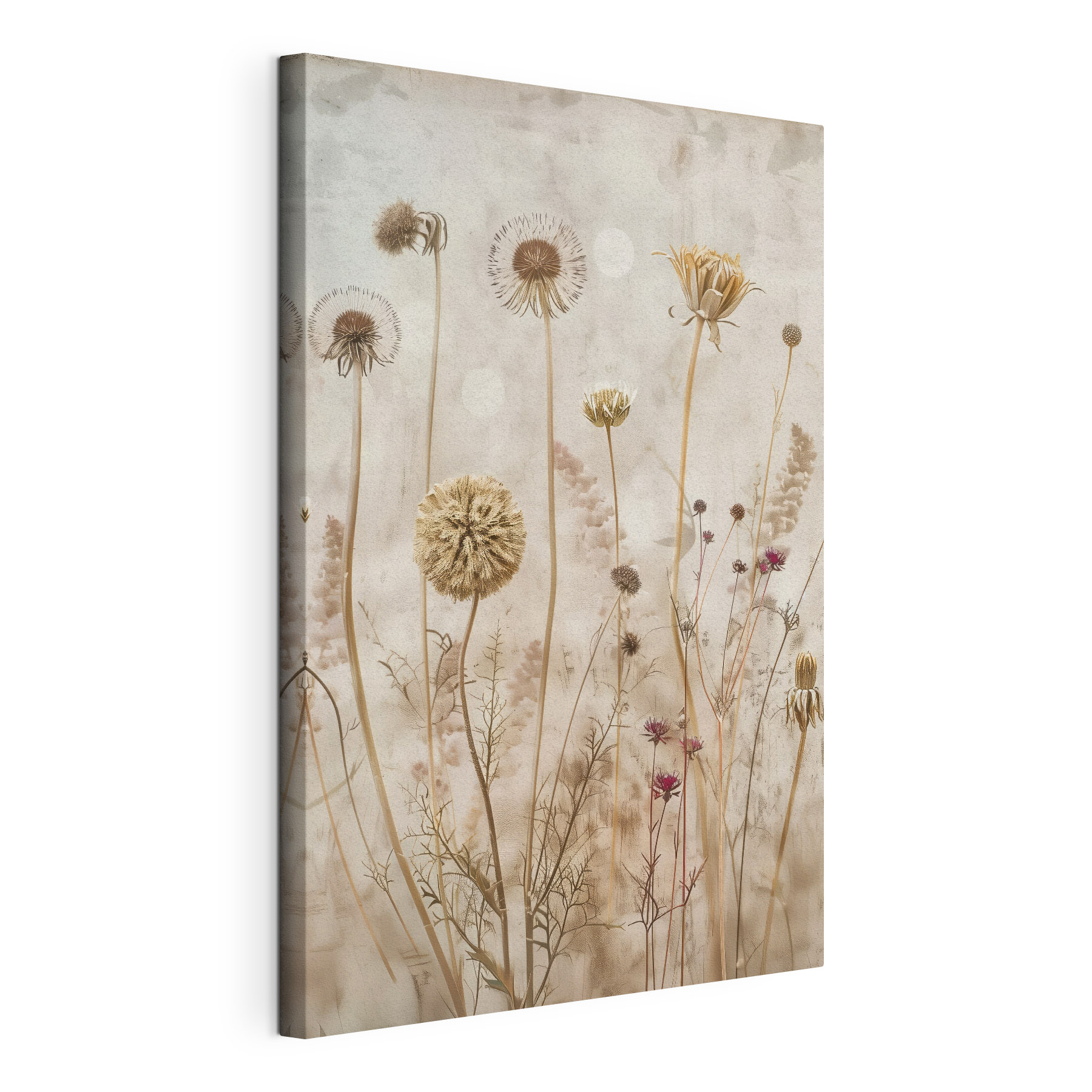 A group of flowers and plants