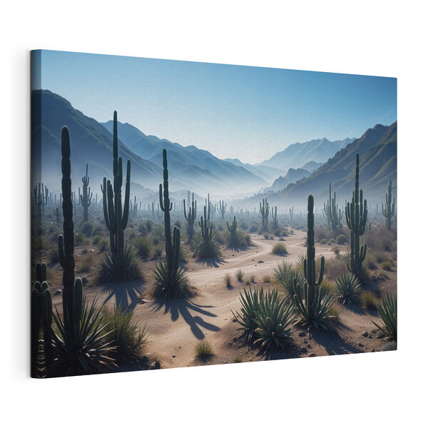 Cactus in a desert Cactus in a desert