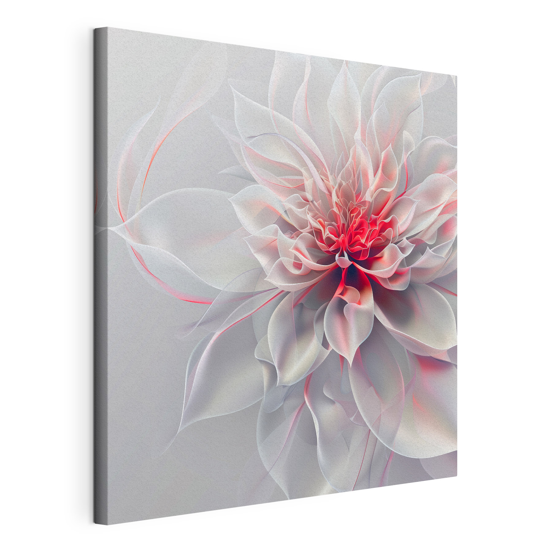 Delicate flower petals in soft hues