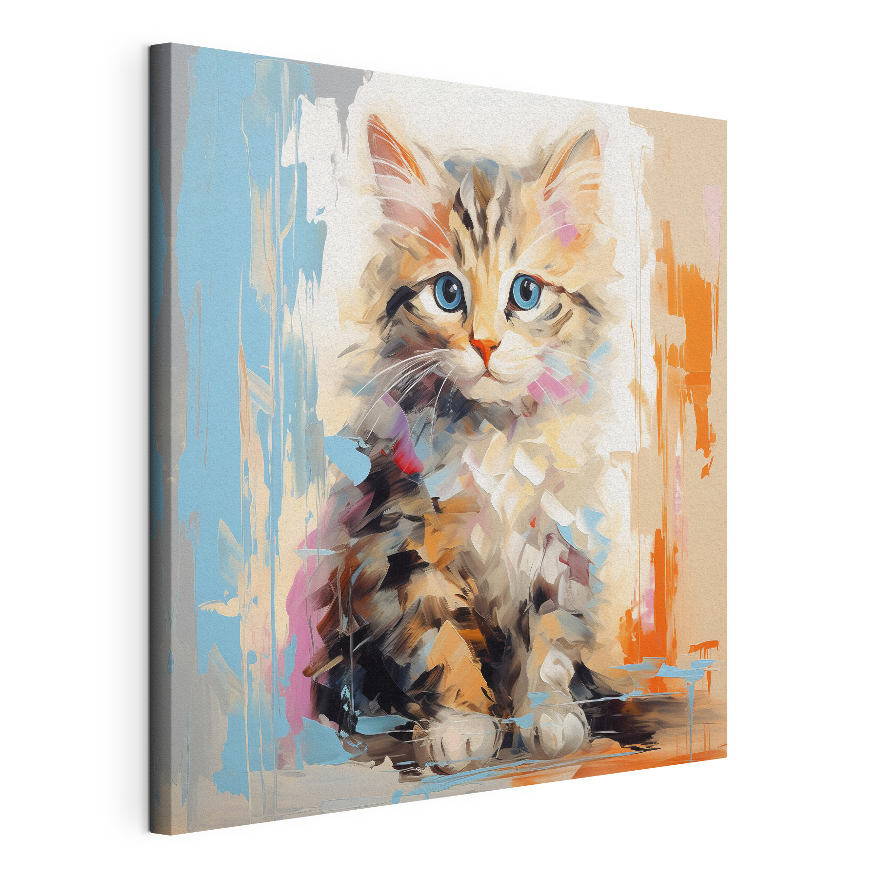 Cat with blue eyes