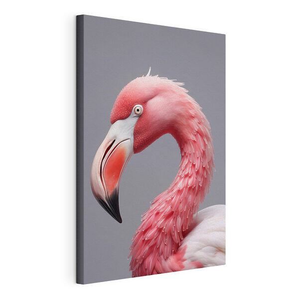 Růžový plameňák zblízka Obraz Růžový plameňák zblízka