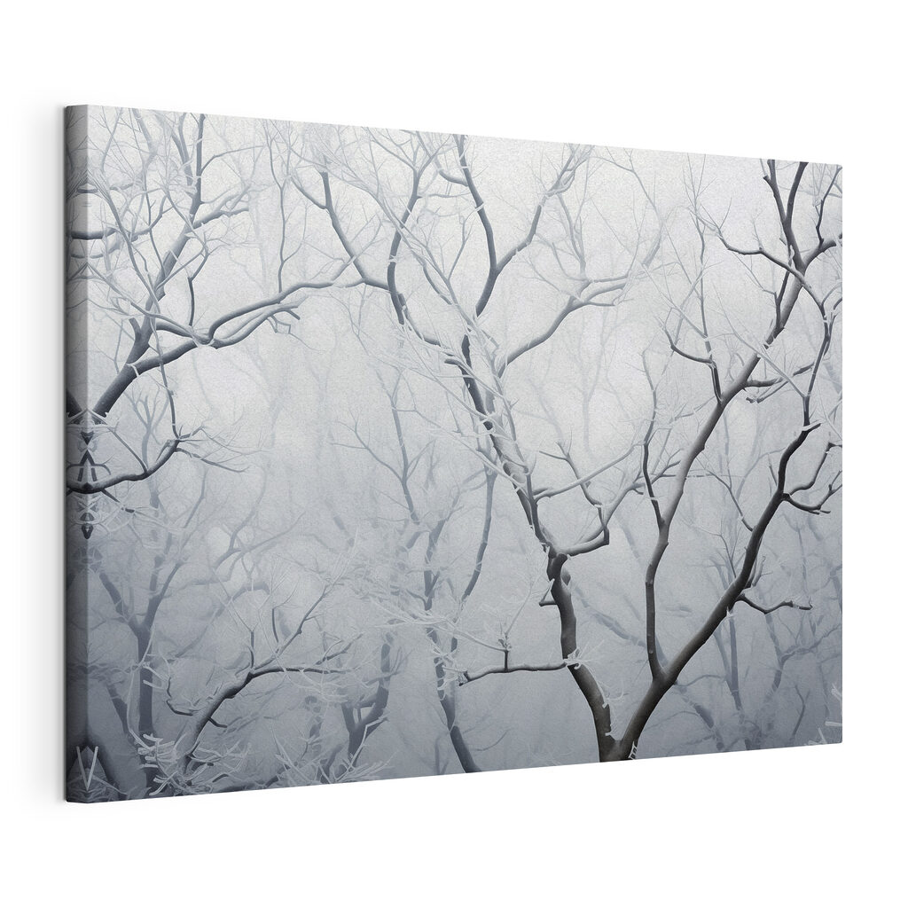 Tree branches with snow on them