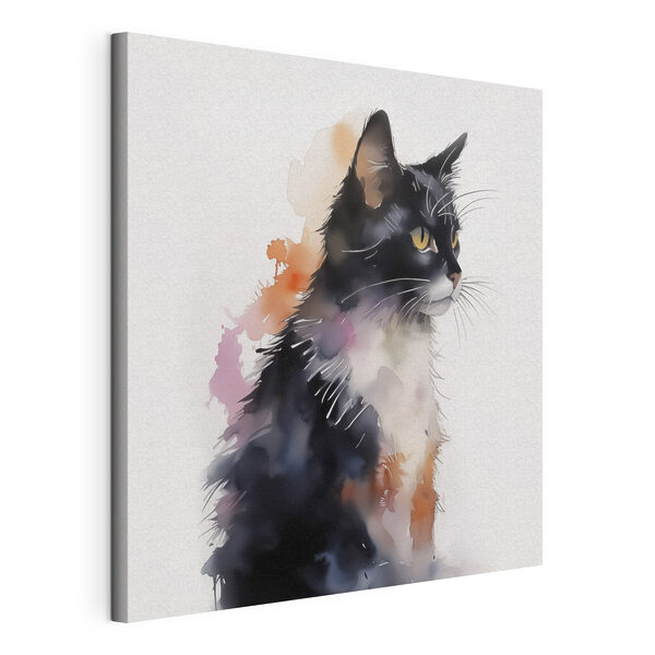 Cat with a white and black face