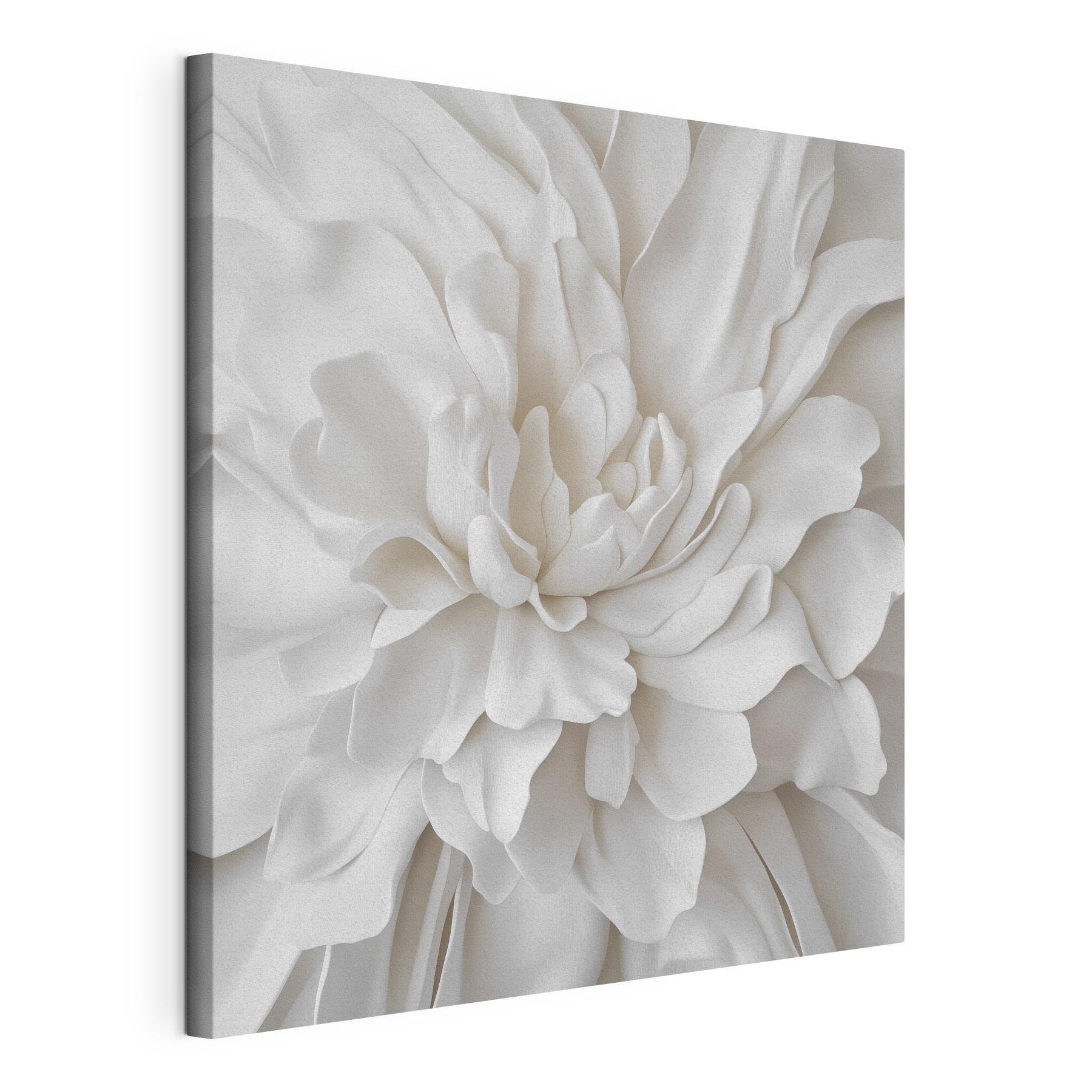 Delicate layers of soft petals