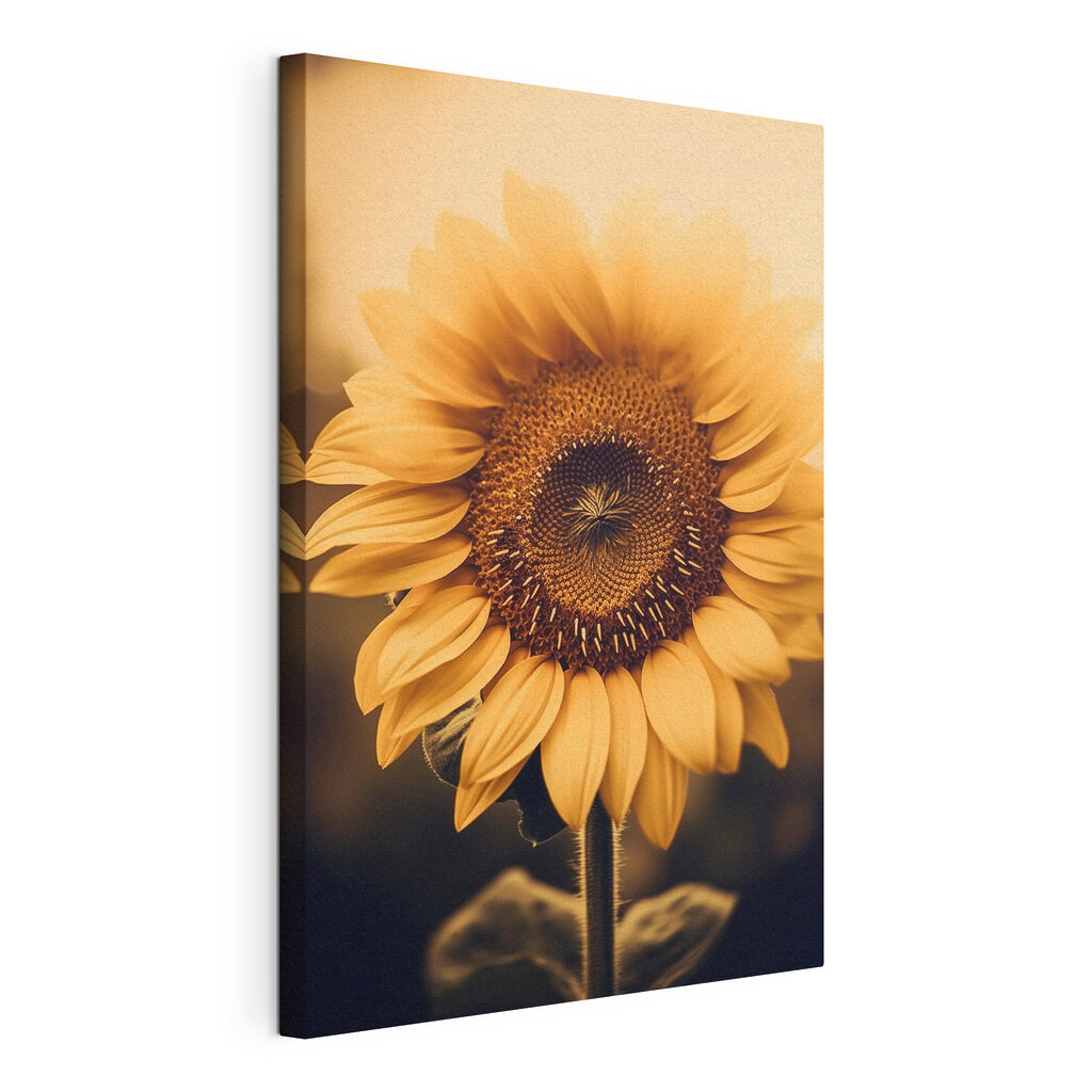 Vibrant petals in soft sunlight Vibrant petals in soft sunlight