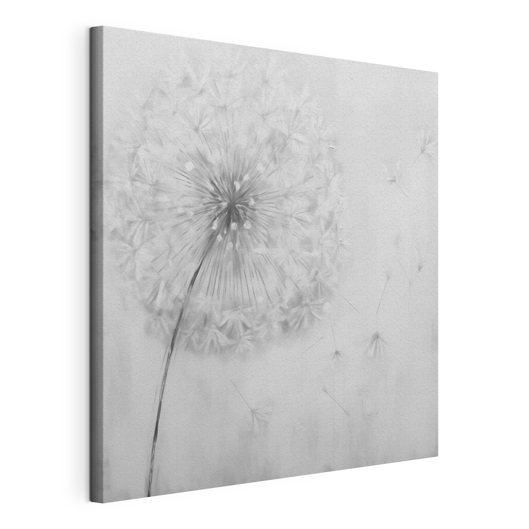 Dandelion flower with seeds flying in the air
