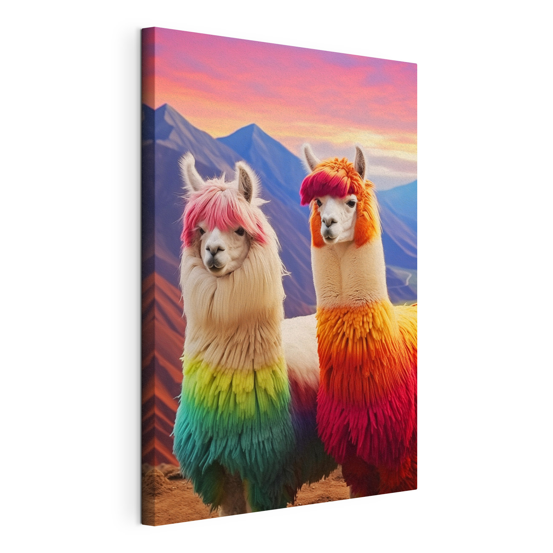 Two llamas with rainbow colored hair Two llamas with rainbow colored hair