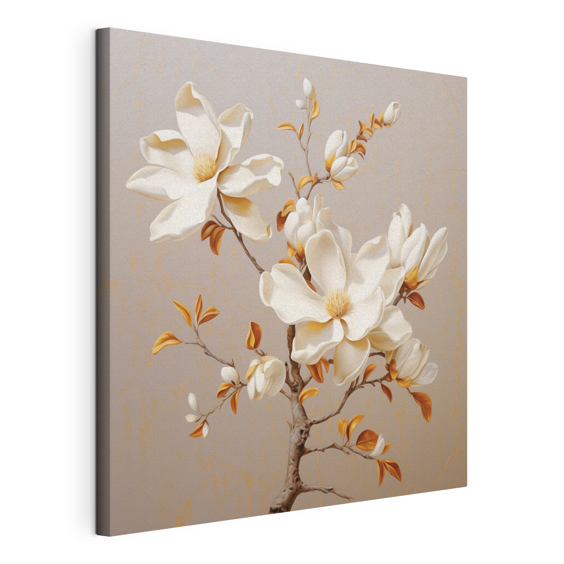 White flowers on a branch