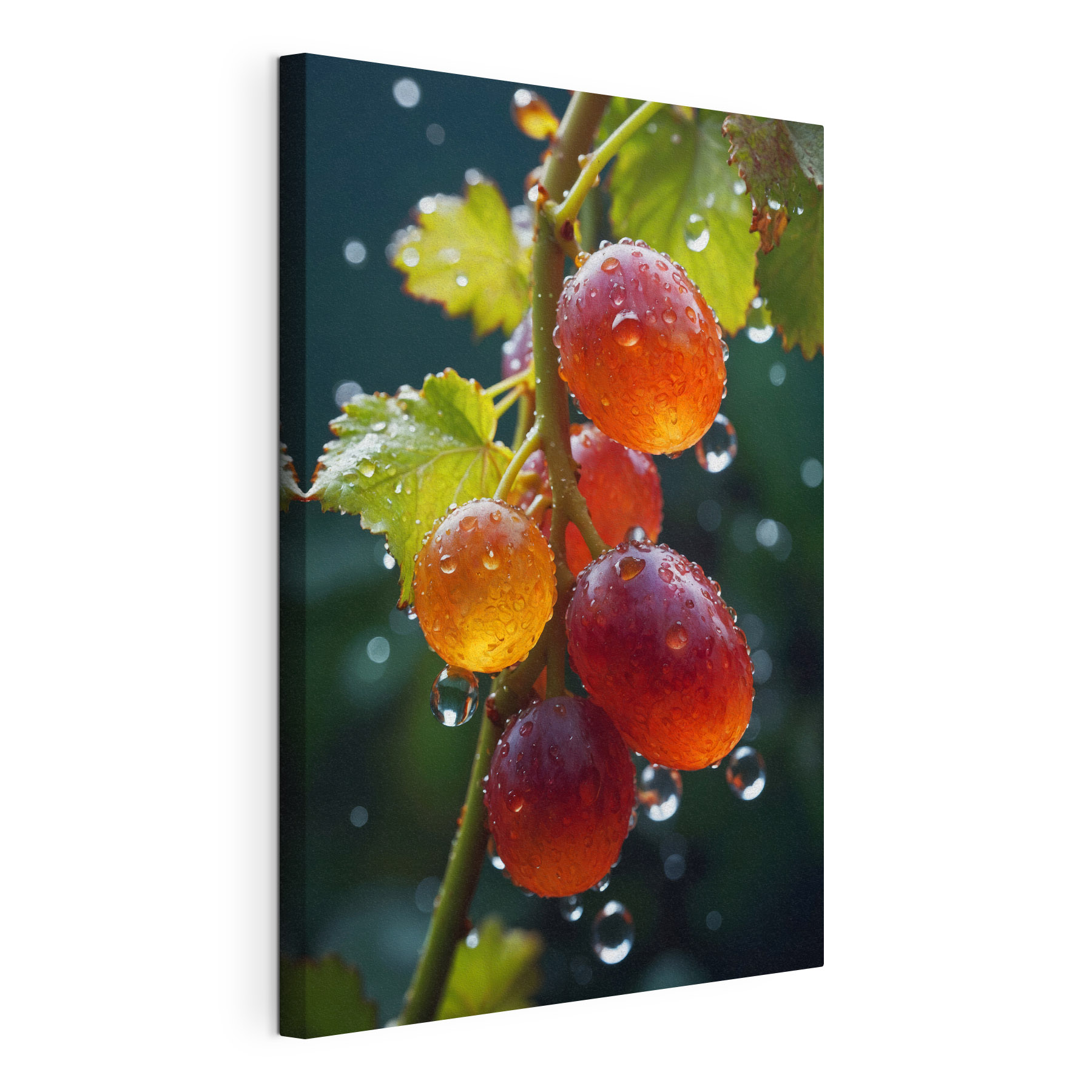 Bunch of grapes with water droplets on them Bunch of grapes with water droplets on them