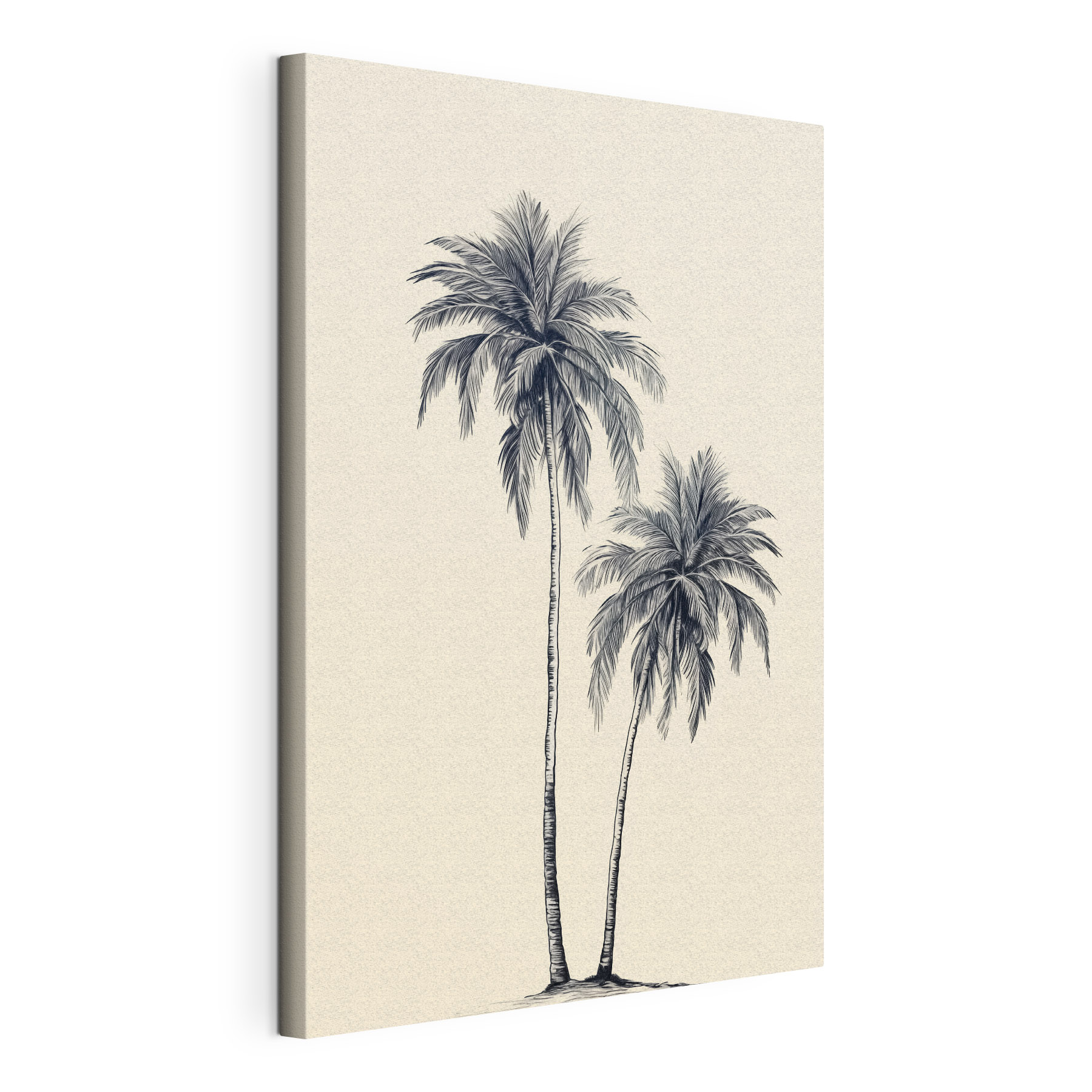 Group of palm trees Group of palm trees