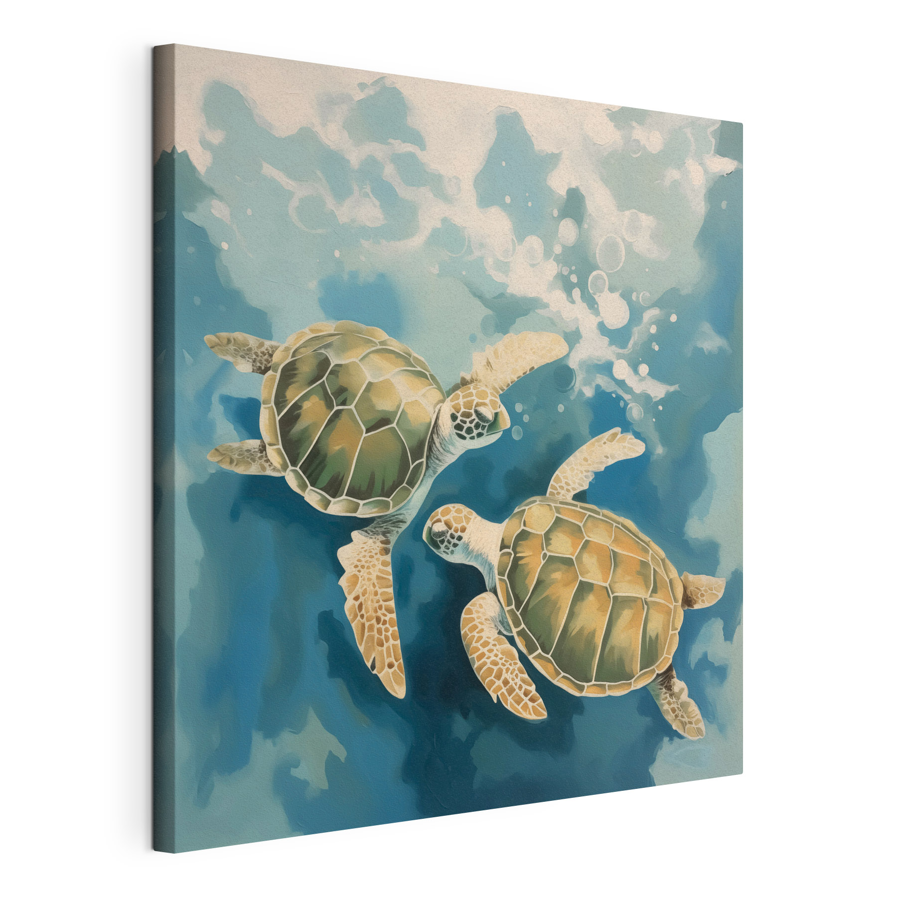 Couple of turtles swimming in water